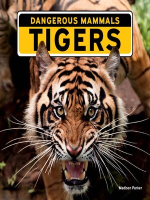 cover image of Tigers